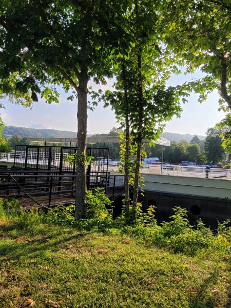 Nettoyage d'une péniche à Mantes la Jolie