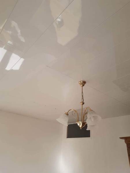 Remise en état du plafond d'un bureau 