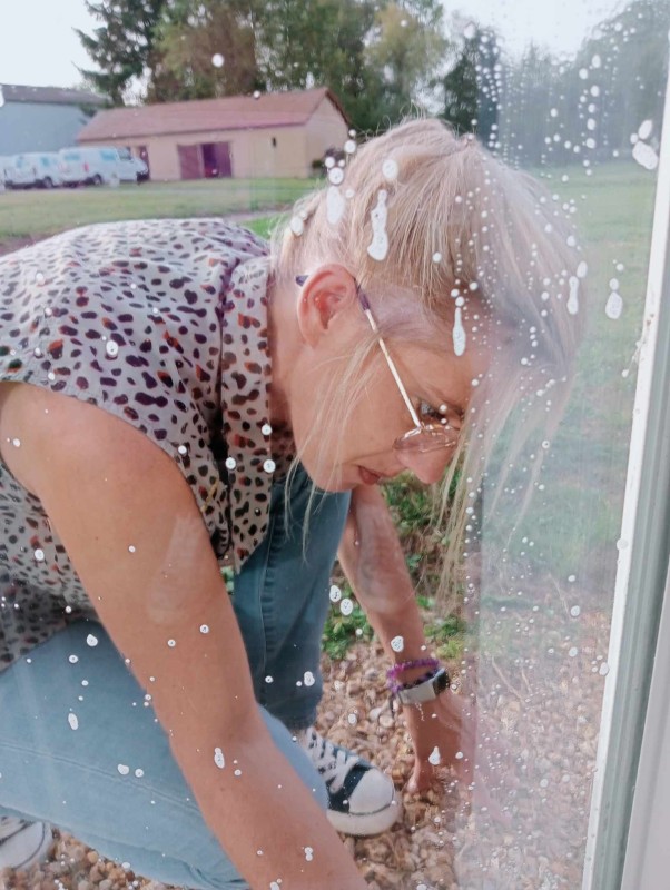 Nettoyage des vitres et des entourages